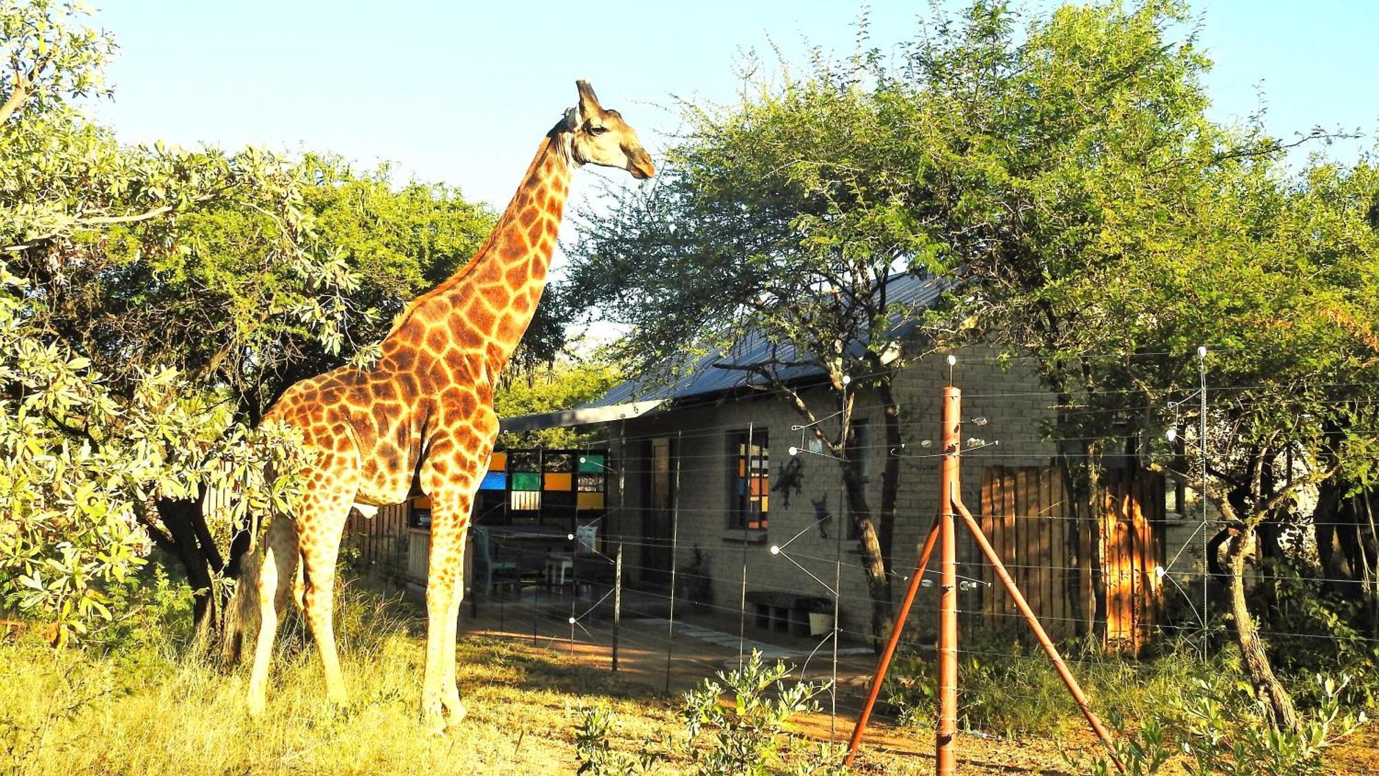 Marulani Bush Lodge Klipdrift Exterior foto