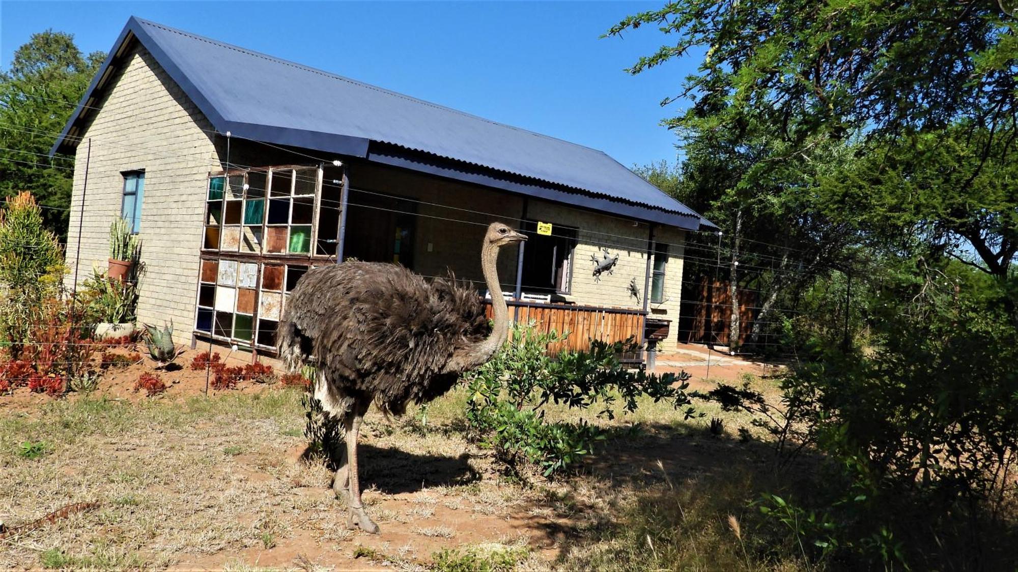 Marulani Bush Lodge Klipdrift Exterior foto